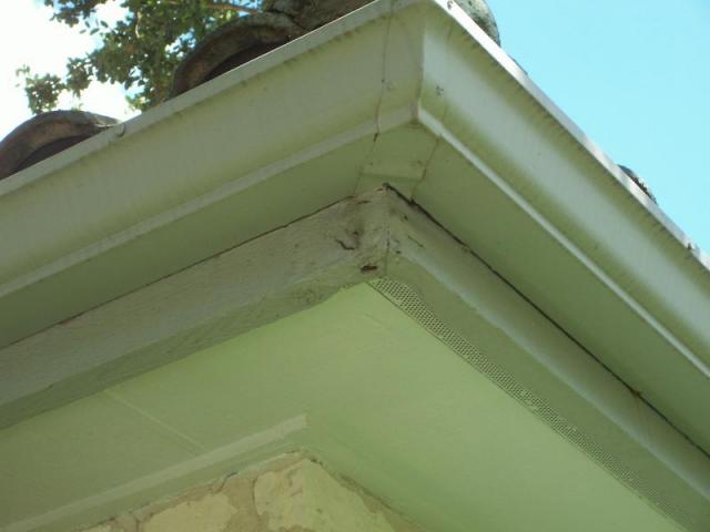 Patched and Painted Cornice Materials